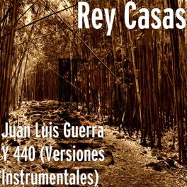 Album cover of Juan Luis Guerra Y 440 (Versiones Instrumentales)