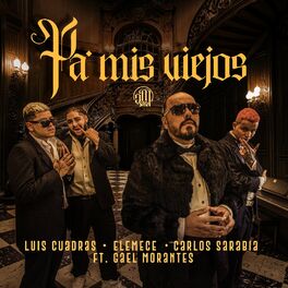 Album cover of Pa Mis Viejos