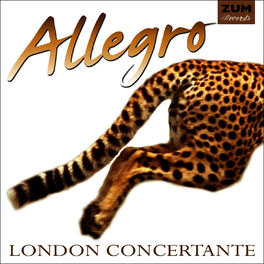 Album cover of Allegro