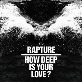 Album cover of How Deep Is Your Love?