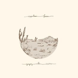 Album cover of Appaloosa Bones