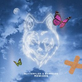 Album cover of Butterflies & Bandaids (Remixes)