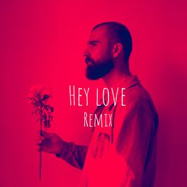 Album cover of Hey Love (Remix)