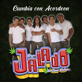 Album cover of Cumbia Con Acordeon