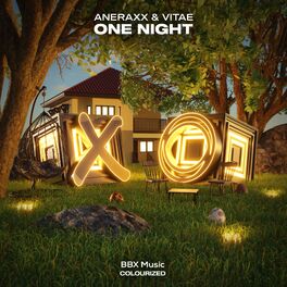 Album cover of One Night