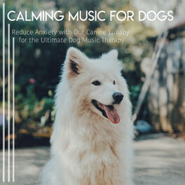 Album cover of Calming Music for Dogs: Reduce Anxiety with Our Canine Lullaby for the Ultimate Dog Music Therapy