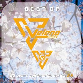Album cover of BEST OF Veleno Music: 2.4