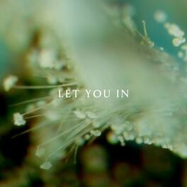 Album cover of Let You In