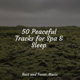 Album cover of 50 Peaceful Tracks for Spa & Sleep