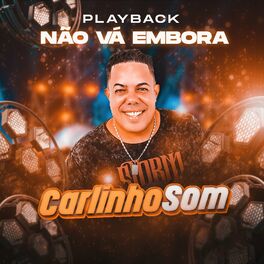 Album cover of Não Vá Embora (Playback)