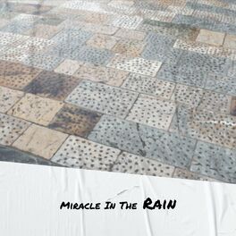 Album cover of Miracle In The Rain