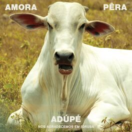 Album cover of Adúpé (Nós Agradeçemos em Iorubá)