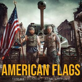 Album cover of American Flags