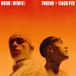 Album cover of Hood (Remix)
