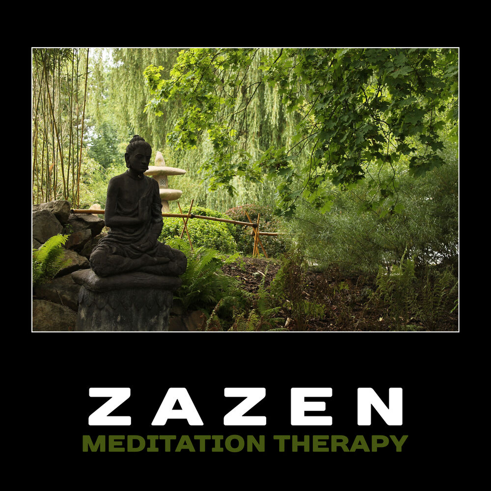 Zen video is. Дзадзэн. Zen видео. Zen Video New age. Guru Meditation.