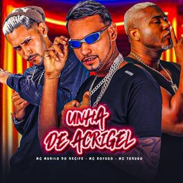 Album cover of Unha de Acrigel