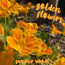 Album cover of Golden Flowers