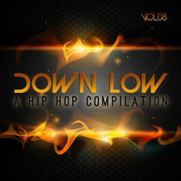 Album cover of Down Low Hip Hop Compilation, Vol. 8