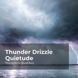 Album cover of Thunder Drizzle Quietude