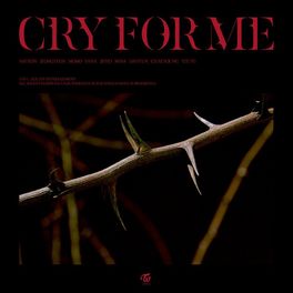 Album picture of CRY FOR ME