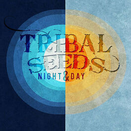 Album cover of Night & Day