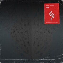 Album cover of Vibe