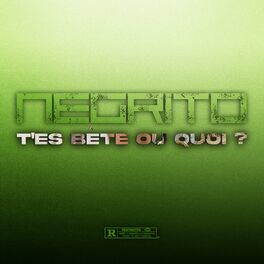 Album cover of T'es bête ou quoi ?