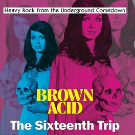 Album cover of Brown Acid - The Sixteenth Trip
