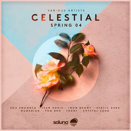 Album cover of Celestial Spring 04