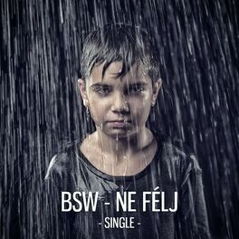 Album cover of Ne Félj