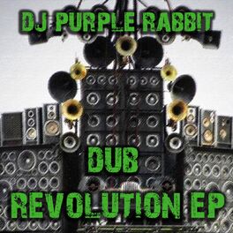 Album cover of Dub Revolution