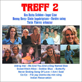 Album cover of Treff 2