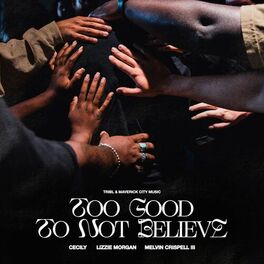 Album cover of Too Good To Not Believe (feat. Lizzie Morgan, Cecily & Melvin Crispell III)