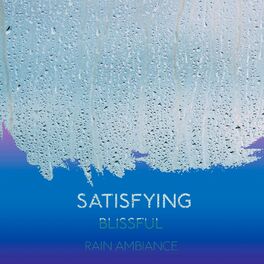 Album cover of zZz Satisfying Blissful Rain Ambiance zZz