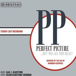 Album cover of Perfect Picture... but Was All This Real? (Studio Cast Recording)