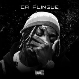 Album cover of Ça flingue