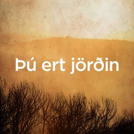 Album cover of Bu ert Jördin