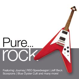 Album cover of Pure... Rock