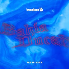 Album cover of Bahia Ducati (Remix)