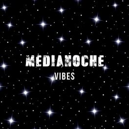 Album cover of Medianoche Vibes