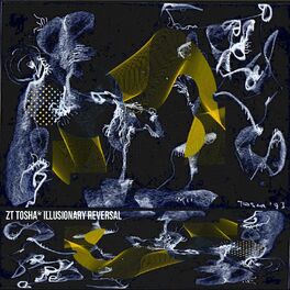 Album cover of Illusionary Reversal