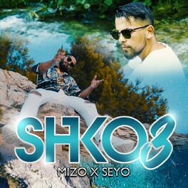 Album cover of Shko3