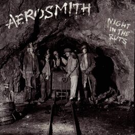 Album cover of Night In The Ruts