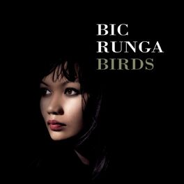 Album cover of Birds