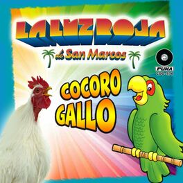Album cover of Cocoro Gallo