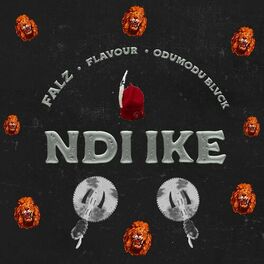 Album cover of NDI IKE