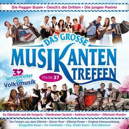 Album cover of Das große Musikantentreffen - Folge 37