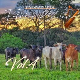 Album cover of Lo Mejor De Mi Folklor Llanero, Vol.4.