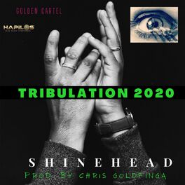 Album cover of Truibulation 2020