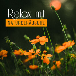 Album cover of Relax mit Naturgeräusche: Heilungsrhythmen und Zen Musik, Entspannendes weißes Rauschen, Ruhiger Schlaf, Meditation